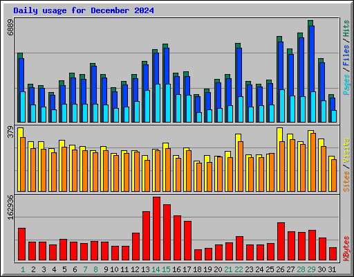 Daily usage for December 2024