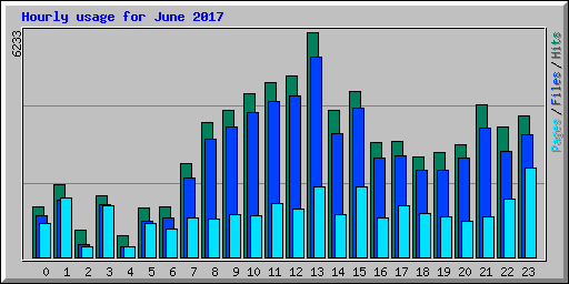 Hourly usage for June 2017