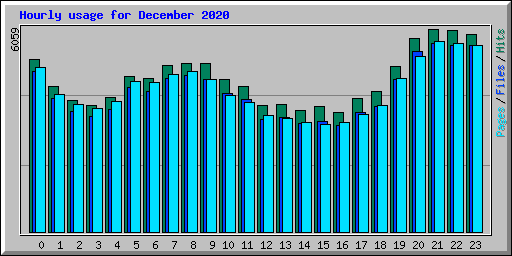 Hourly usage for December 2020