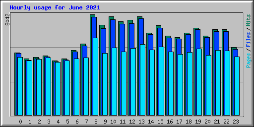 Hourly usage for June 2021