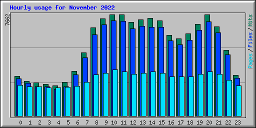 Hourly usage for November 2022