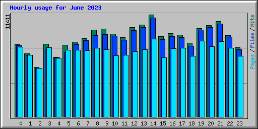 Hourly usage for June 2023