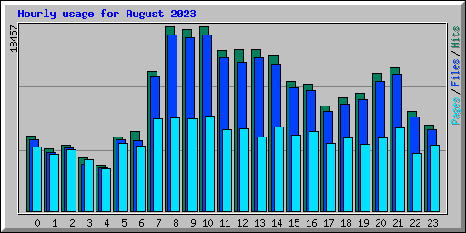Hourly usage for August 2023