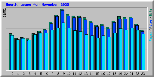 Hourly usage for November 2023