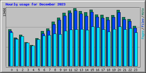 Hourly usage for December 2023