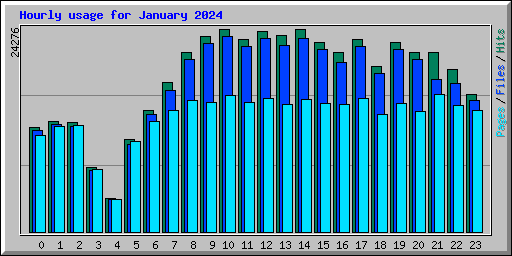 Hourly usage for January 2024