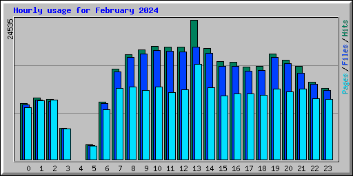 Hourly usage for February 2024