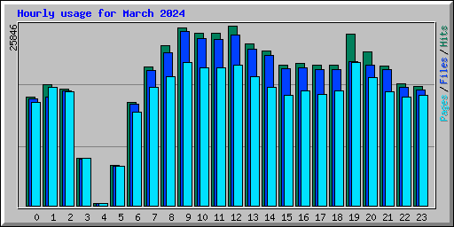Hourly usage for March 2024