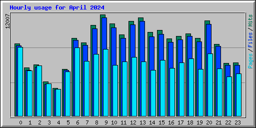 Hourly usage for April 2024