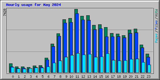 Hourly usage for May 2024