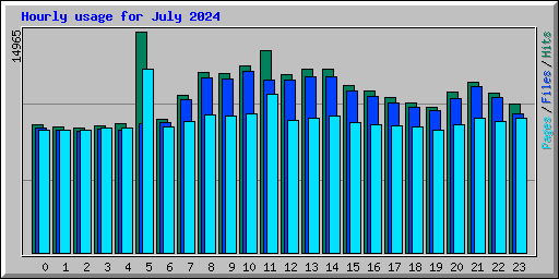 Hourly usage for July 2024