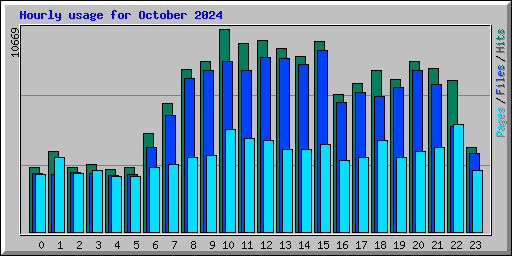 Hourly usage for October 2024