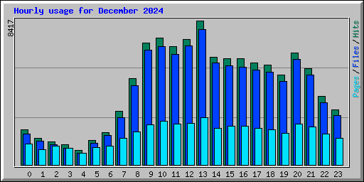 Hourly usage for December 2024