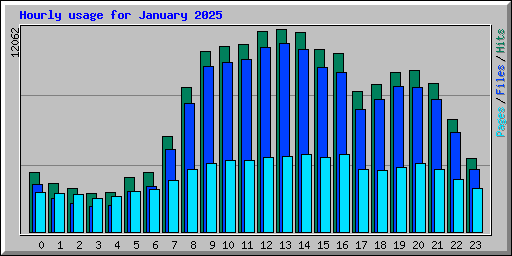 Hourly usage for January 2025