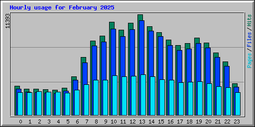 Hourly usage for February 2025