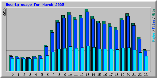Hourly usage for March 2025