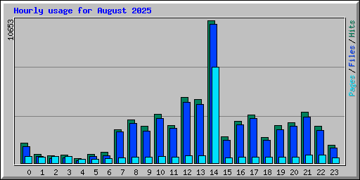 Hourly usage for August 2025
