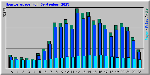 Hourly usage for September 2025