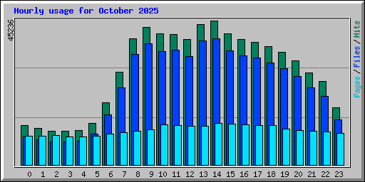 Hourly usage for October 2025