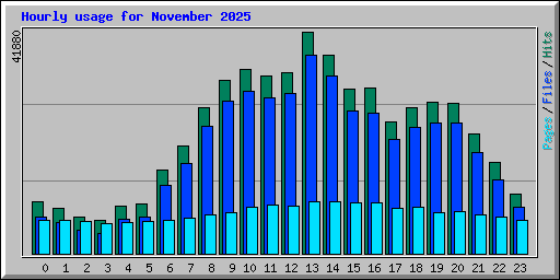Hourly usage for November 2025