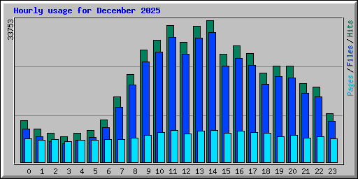 Hourly usage for December 2025