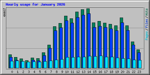 Hourly usage for January 2026