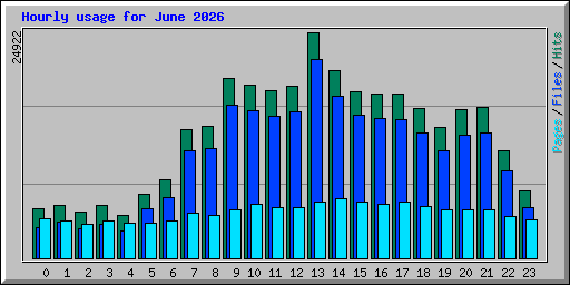 Hourly usage for June 2026